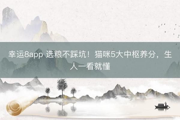 幸运8app 选粮不踩坑！猫咪5大中枢养分，生人一看就懂