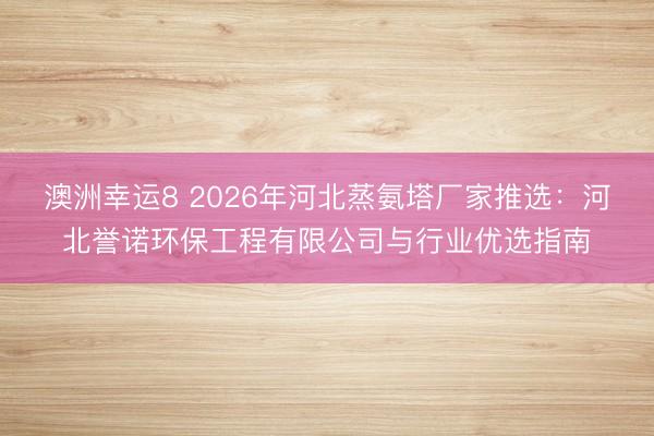 澳洲幸运8 2026年河北蒸氨塔厂家推选：河北誉诺环保工程有限公司与行业优选指南