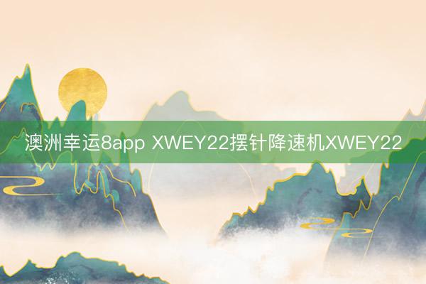 澳洲幸运8app XWEY22摆针降速机XWEY22