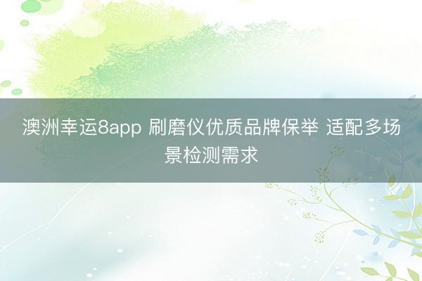 澳洲幸运8app 刷磨仪优质品牌保举 适配多场景检测需求
