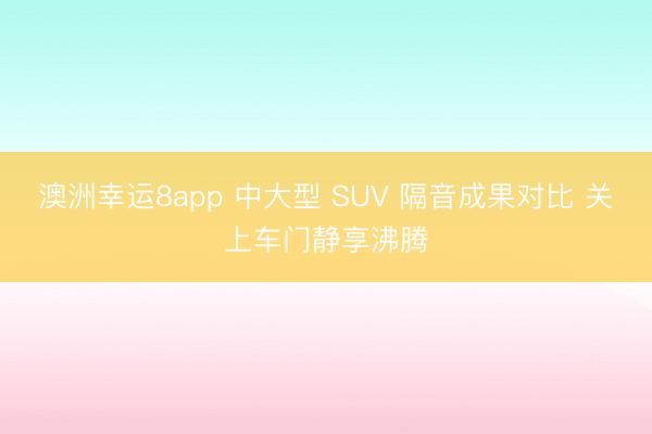 澳洲幸运8app 中大型 SUV 隔音成果对比 关上车门静享沸腾