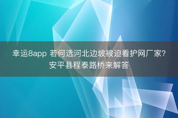 幸运8app 若何选河北边坡被迫看护网厂家？安平县程泰路桥来解答