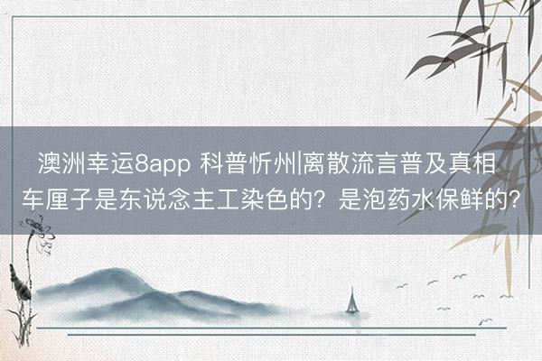 澳洲幸运8app 科普忻州|离散流言普及真相 车厘子是东说念主工染色的？是泡药水保鲜的？