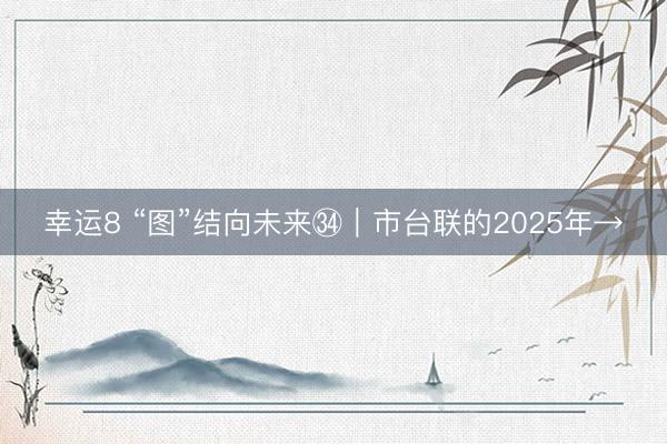 幸运8 “图”结向未来㉞｜市台联的2025年→