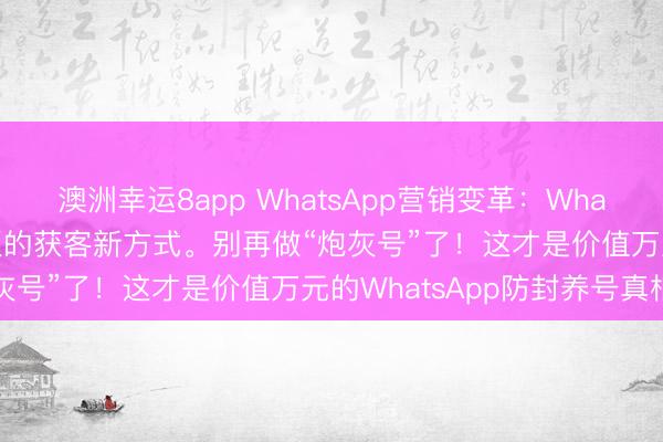 澳洲幸运8app WhatsApp营销变革：WhatsApp磐石系统外贸老板的获客新方式。别再做“炮灰号”了！这才是价值万元的WhatsApp防封养号真相