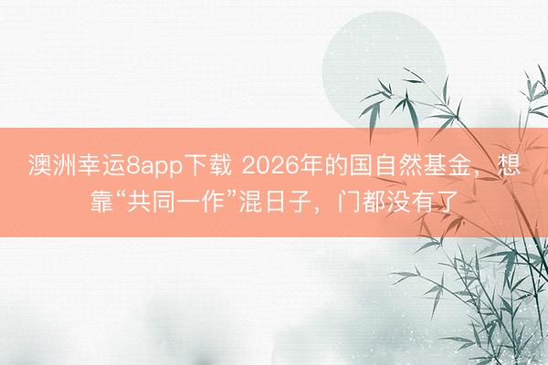 澳洲幸运8app下载 2026年的国自然基金，想靠“共同一作”混日子，门都没有了