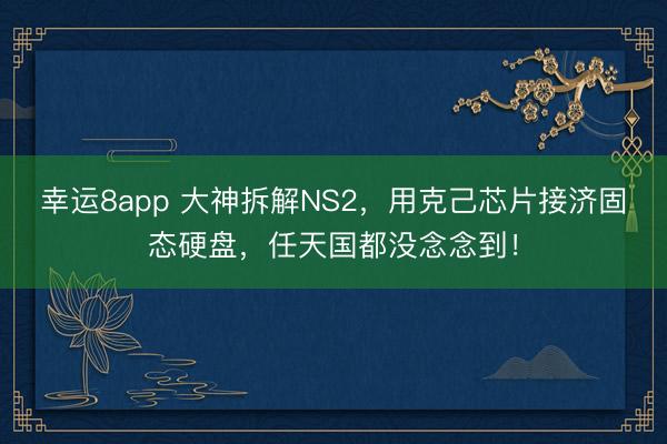 幸运8app 大神拆解NS2，用克己芯片接济固态硬盘，任天国都没念念到！