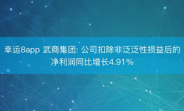 幸运8app 武商集团: 公司扣除非泛泛性损益后的净利润同比增长4.91%
