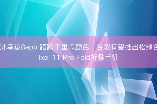 澳洲幸运8app 蹧蹋千里闷颜色：谷歌有望推出松绿色Pixel 11 Pro Fold折叠手机