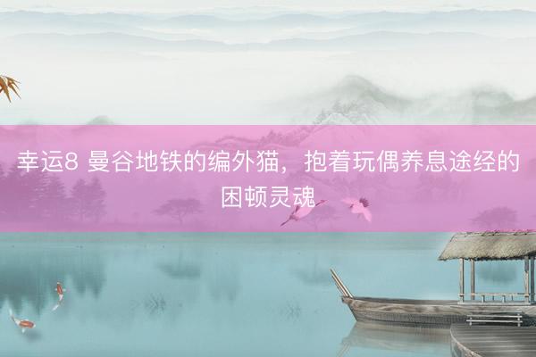 幸运8 曼谷地铁的编外猫，抱着玩偶养息途经的困顿灵魂
