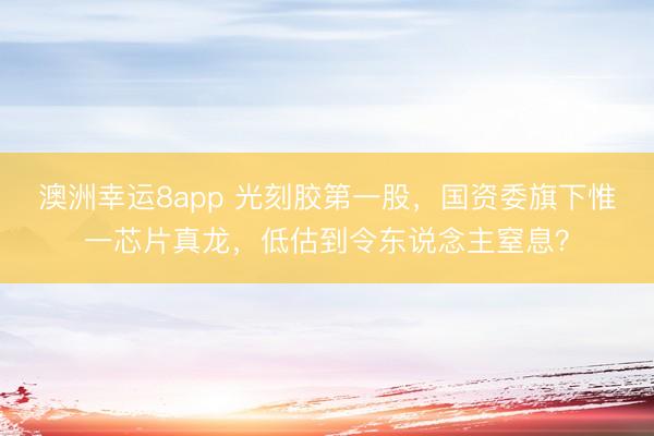 澳洲幸运8app 光刻胶第一股，国资委旗下惟一芯片真龙，低估到令东说念主窒息？