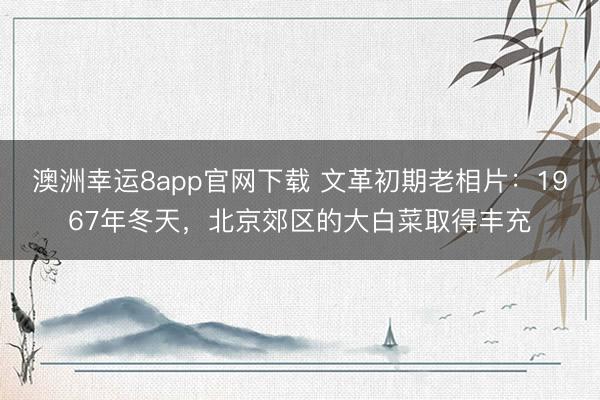 澳洲幸运8app官网下载 文革初期老相片：1967年冬天，北京郊区的大白菜取得丰充
