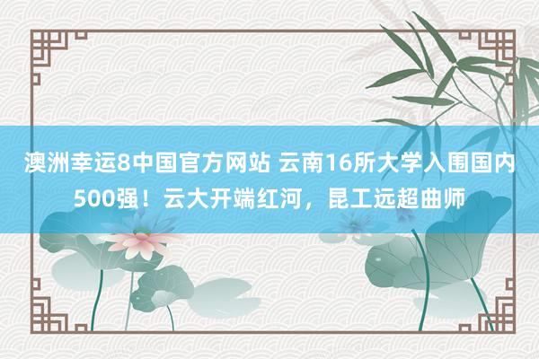 澳洲幸运8中国官方网站 云南16所大学入围国内500强！云大开端红河，昆工远超曲师