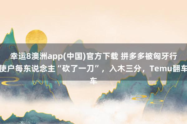 幸运8澳洲app(中国)官方下载 拼多多被匈牙行使户每东说念主“砍了一刀”,入木三分,Temu翻车