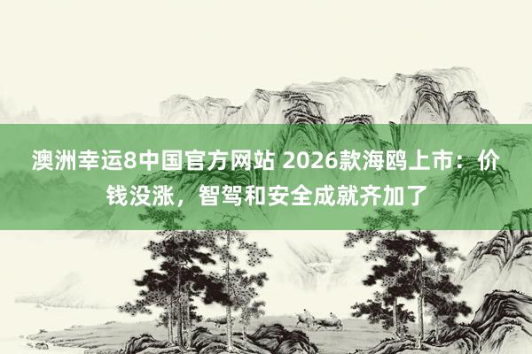 澳洲幸运8中国官方网站 2026款海鸥上市：价钱没涨，智驾和安全成就齐加了