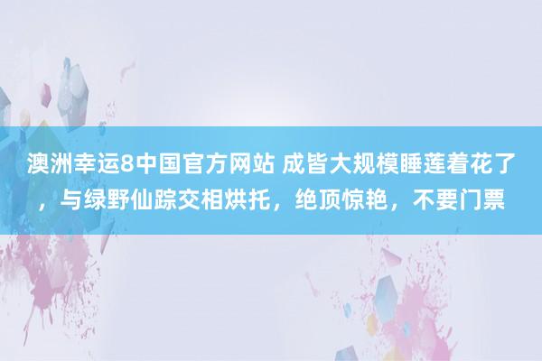 澳洲幸运8中国官方网站 成皆大规模睡莲着花了，与绿野仙踪交相烘托，绝顶惊艳，不要门票