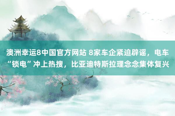 澳洲幸运8中国官方网站 8家车企紧迫辟谣，电车“锁电”冲上热搜，比亚迪特斯拉理念念集体复兴