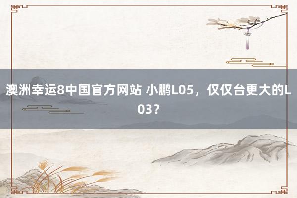 澳洲幸运8中国官方网站 小鹏L05，仅仅台更大的L03？