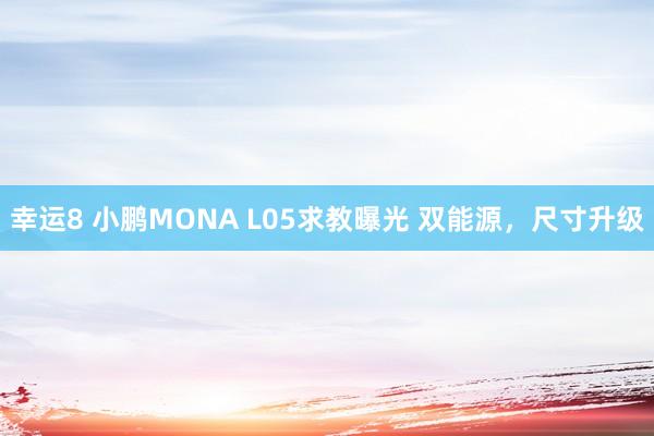 幸运8 小鹏MONA L05求教曝光 双能源，尺寸升级