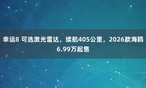 幸运8 可选激光雷达，续航405公里，2026款海鸥6.99万起售