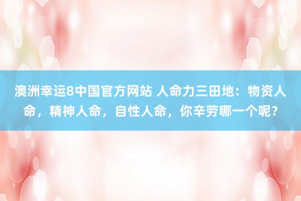 澳洲幸运8中国官方网站 人命力三田地：物资人命，精神人命，自性人命，你辛劳哪一个呢？
