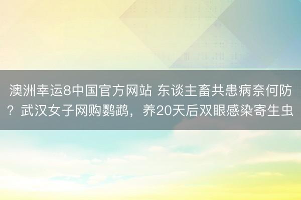 澳洲幸运8中国官方网站 东谈主畜共患病奈何防？武汉女子网购鹦鹉，养20天后双眼感染寄生虫