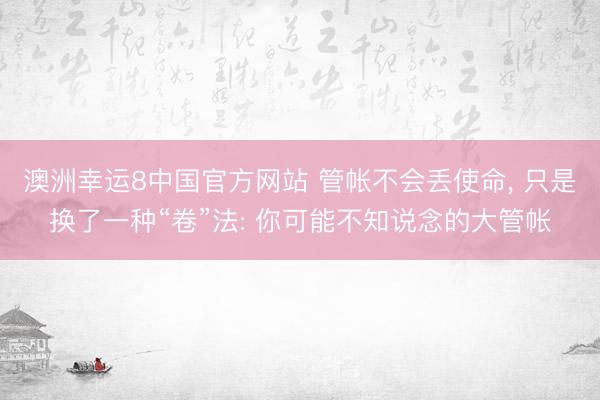 澳洲幸运8中国官方网站 管帐不会丢使命, 只是换了一种“卷”法: 你可能不知说念的大管帐