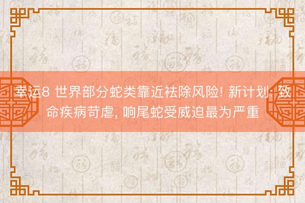 幸运8 世界部分蛇类靠近袪除风险! 新计划: 致命疾病苛虐， 响尾蛇受威迫最为严重
