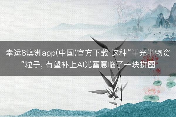 幸运8澳洲app(中国)官方下载 这种“半光半物资”粒子， 有望补上AI光蓄意临了一块拼图
