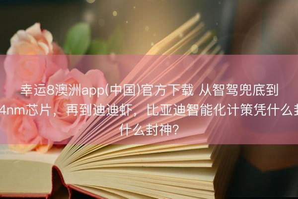 幸运8澳洲app(中国)官方下载 从智驾兜底到自研4nm芯片，再到迪迪虾，比亚迪智能化计策凭什么封神？