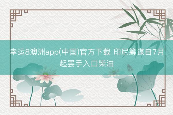 幸运8澳洲app(中国)官方下载 印尼筹谋自7月起罢手入口柴油