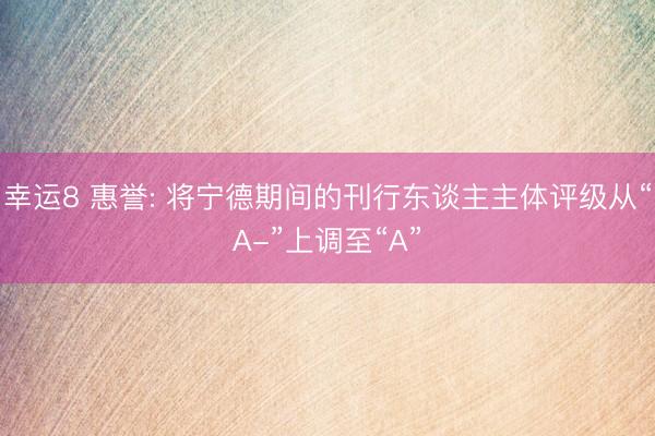 幸运8 惠誉: 将宁德期间的刊行东谈主主体评级从“A-”上调至“A”